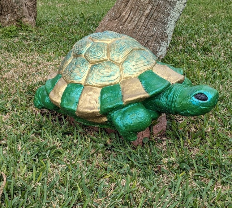 turtle-park-photo